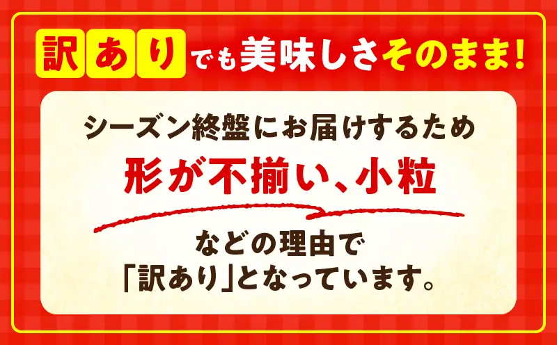 【先行予約】訳あり 苺音クラフト～加工用さぬきひめいちご約2kg | おすすめ 人気 果実 果肉 果物 フルーツ デザート 贈り物 苺 さぬきひめ 贈答 ご褒美 旬の果物 季節の果物 旬 季節 青果物 香川県 三木町 |_mk137-007