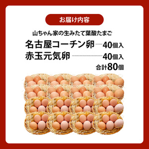 【山ちゃん家の生みたて葉酸たまご】名古屋コーチン卵・赤玉元気卵 食べ比べセット（各40個 合計80個入り）山ちゃん家 生みたて 葉酸 たまご 名古屋コーチン卵 赤玉元気卵 食べ比べ セット 各 40個 合計 80個 入り 地鶏 卵 朝食 卵焼き 目玉焼き オムライス ゆでたまご 山田養鶏 お取り寄せ 愛知県 小牧市 送料無料 [132Y11]