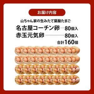 【山ちゃん家の生みたて葉酸たまご】名古屋コーチン卵・赤玉元気卵 食べ比べセット（各80個 合計160個入り） 山ちゃん家 生みたて 葉酸 たまご 名古屋コーチン卵 赤玉元気卵 食べ比べ セット 各 80個 合計 160個 入り 地鶏 卵 朝食 卵焼き 目玉焼き オムライス ゆでたまご 山田養鶏 お取り寄せ 愛知県 小牧市 送料無料 [132Y12]