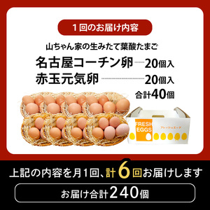 【6ヶ月定期便】【山ちゃん家の生みたて葉酸たまご】名古屋コーチン卵・赤玉元気卵 食べ比べセット（各20個 合計40個入り） 6ヶ月定期便 山ちゃん家 生みたて 葉酸 たまご 名古屋コーチン卵 赤玉元気卵 食べ比べ セット 各 20個 合計 40個 入り 地鶏 卵 朝食 卵焼き 目玉焼き オムライス ゆでたまご 山田養鶏 お取り寄せ 愛知県 小牧市 送料無料 [132Y12-T]