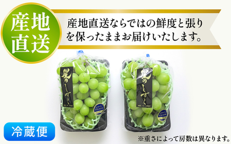 茨城県常総市産 シャインマスカット 約1.2kg｜ぶどう ブドウ 葡萄 果物 フルーツ 贈り物 ※2026年8月中旬～9月中旬頃に順次発送予定