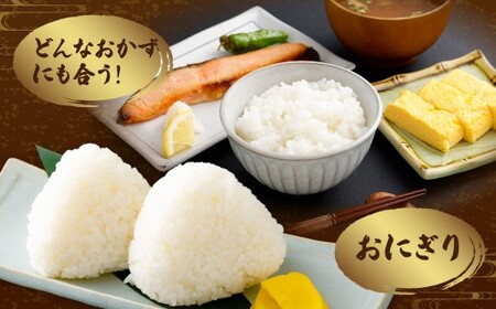 【新米受付・令和8年産米】新潟県村上市岩船産　岩船産コシヒカリ10kg（5kg×2袋）　1102002N
