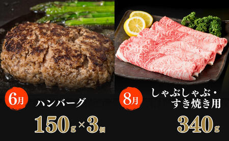 【ふるなび限定】佐賀牛定期便 偶数月に届く バラエティ 全6回 計1.9kg 肉 定期 おすすめ ギフト 贈答 黒毛和牛 ランキング za035 FN-Limited-SP