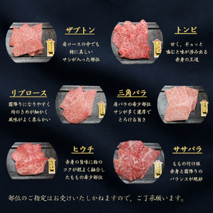 京都府産黒毛和牛【京の肉】 希少部位入り焼肉セット梅 6種盛 600g(100g×6) 包装有り