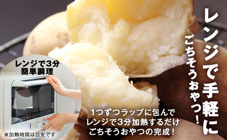 【2026年10月発送！】北海道産 じゃがいも 訳あり 5kg"お楽しみランダム"きたあかり メークイン ノーザンルビー レッドムーン 北海黄金