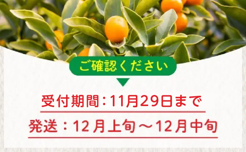 【先行予約】＜2026年発送＞温室金柑 1kg 2箱（250g×8パック）_K001-026