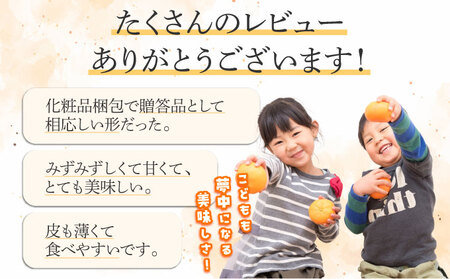 【先行予約】＜数量限定＞せとか6kg（16～30玉）化粧箱付き_K001-017