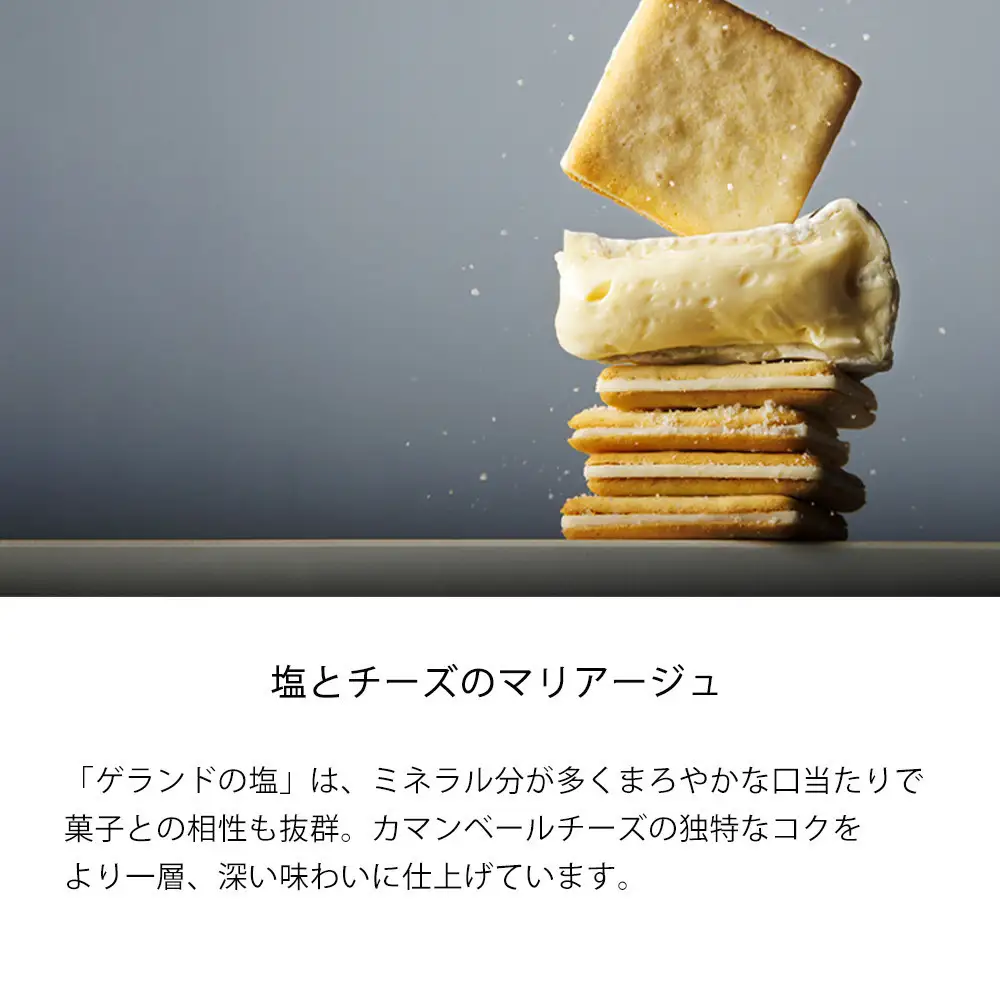 【東京ミルクチーズ工場】ソルト&カマンベールクッキー9枚入10箱セット