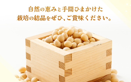 坂井市産大豆 (里のほほえみ) 1kg (200ｇ×5袋) 農薬・化学肥料栽培期間中不使用 【大豆 豆類 だいず 豆料理 豆乳 豆ごはん 煮豆 豆腐 食物繊維 小分け 国産】 [A-2978]