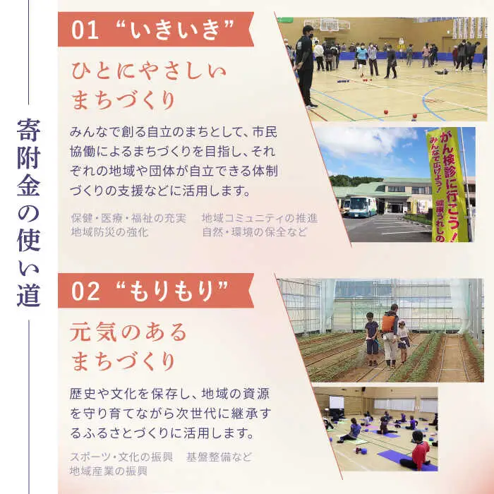 佐賀県嬉野市まちづくり応援寄附金 6万円分 NZY966 嬉野市 寄附金
