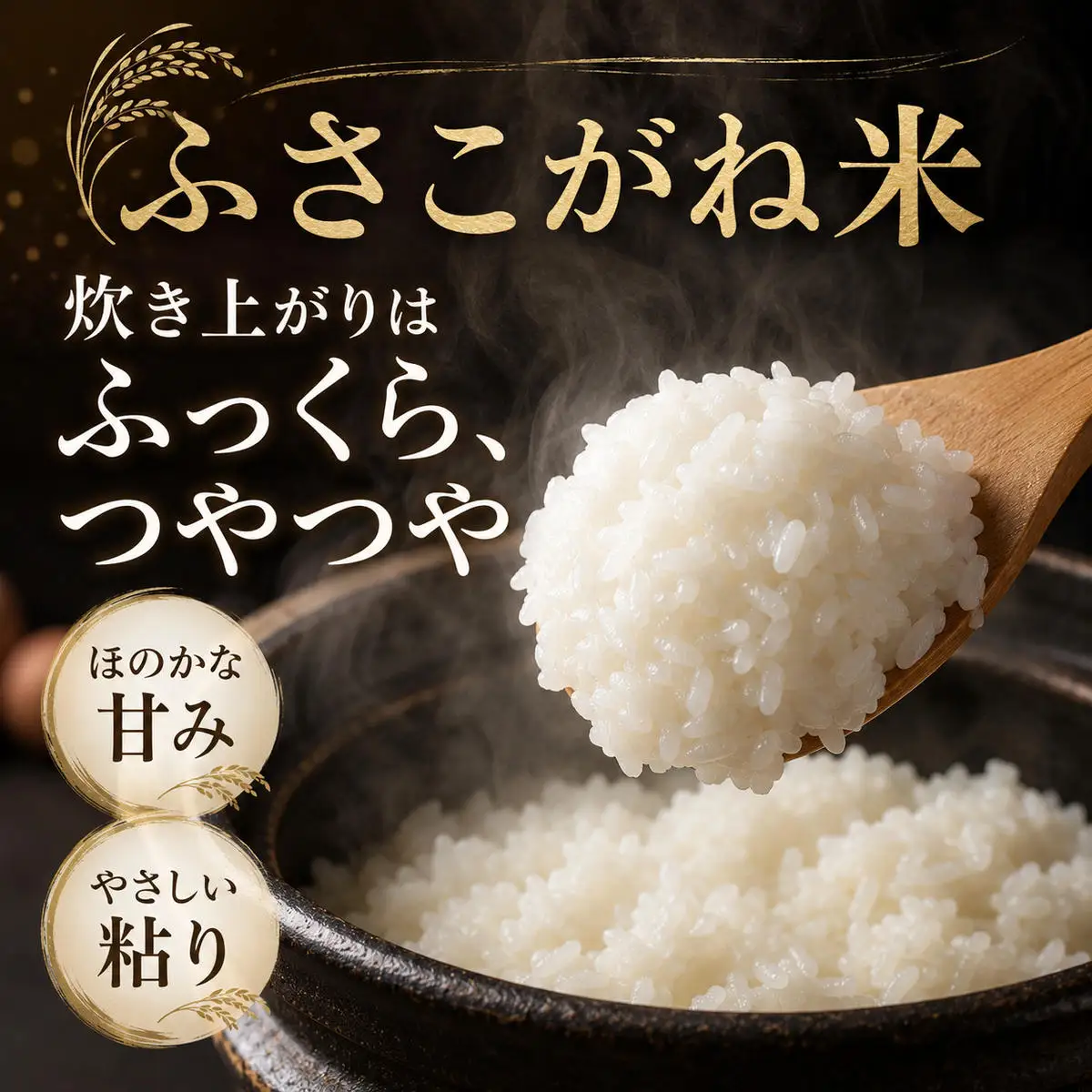 米 【新米】 ふさこがね 5kg まなびファーム 白米 米