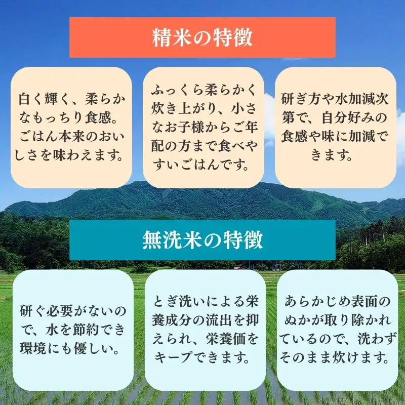 【6か月定期便】柿崎区厳選 コシヒカリ 無洗米 10kg ブランド米 コシヒカリ