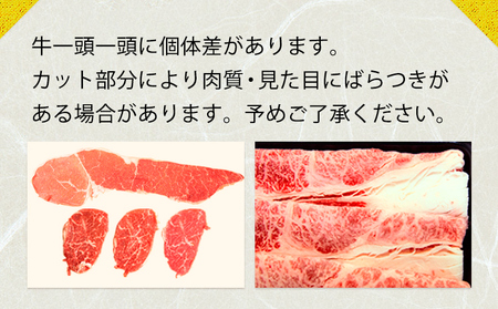 常陸牛切り落とし1000g《30日以内に出荷予定(土日祝除く) 》【配送不可地域あり】常陸牛ブランド牛肉茨城県
