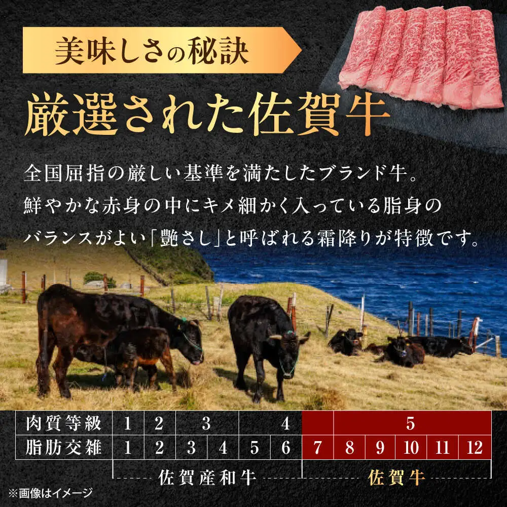 【6回定期便】佐賀牛 ローススライス すき焼き・しゃぶしゃぶ用 500g /MKミート武雄[UEM041] すき焼き