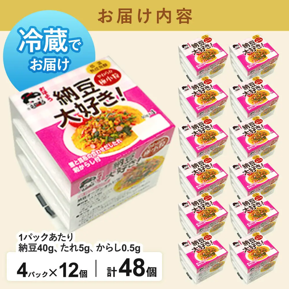 ヤマダフーズ 納豆大好きやわらか 極小粒 ミニ 4パック×12個（計48個）