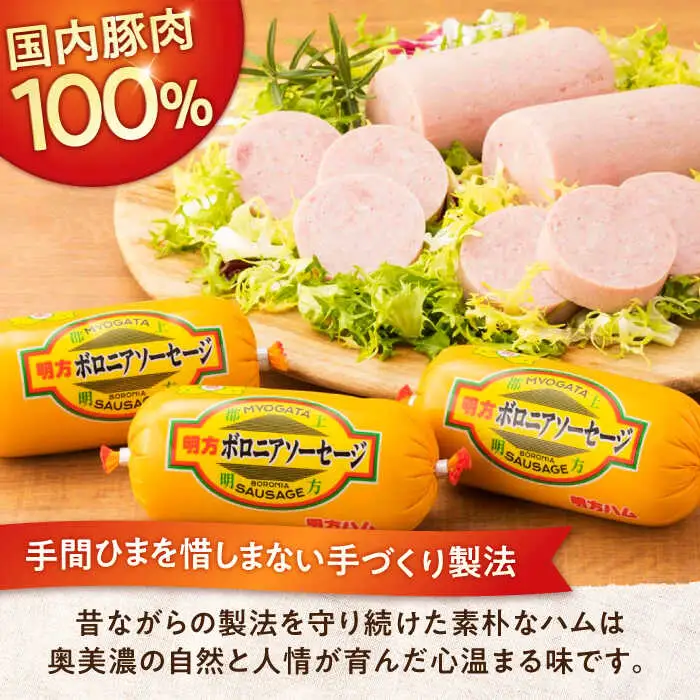【12回定期便】明方ハム詰め合わせ Bセット[AVBA008]ハム 定期