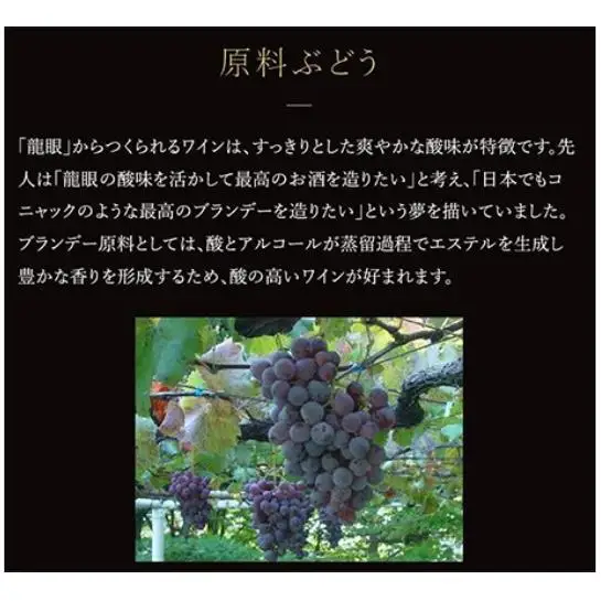 ブランデー 龍眼 1989 700ml×1本 ブランデー