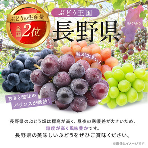 【先行受付】信州産 クイーンルージュⓇ 2房（約1kg）