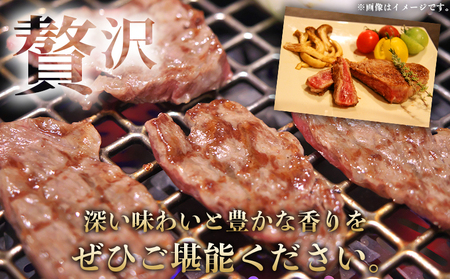＜熟成肉 はなが牛リブロースブロック約500g（500g×1個）＞ 牛肉 ステーキ 鉄板焼き 焼き肉 国産 塊肉 かたまり 霜降り しもふり バーベキュー BBQ キャンプ アウトドア 特産品 ゆうぼく 愛媛県 西予市【冷凍】『2か月以内に順次出荷予定』UYB0020