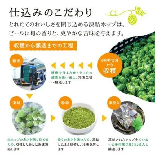 キリン 一番搾り とれたてホップ 生ビール 500ml×12本 1ケース【11月中旬以降順次発送】【1335909】