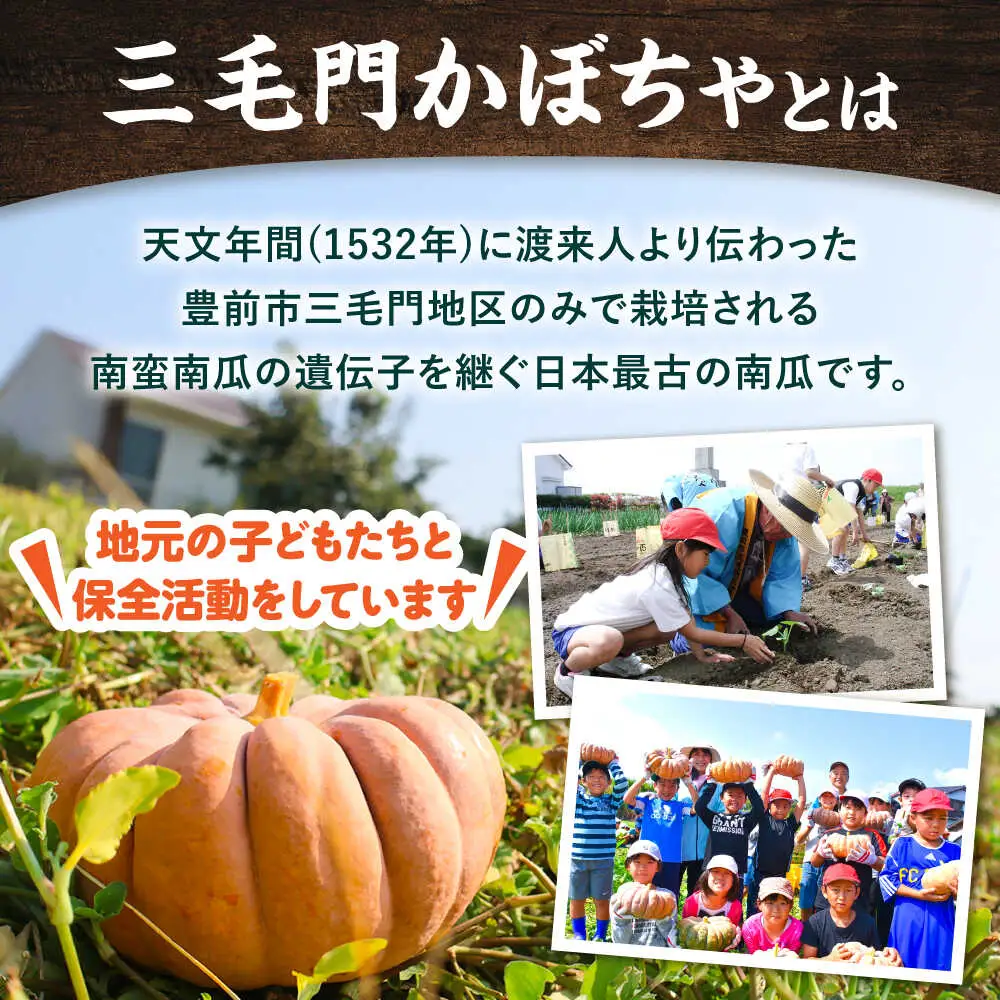 三毛門南瓜 焼酎 鎮盛 (しげもり) 1.8L 25度 本格焼酎 VDF002 