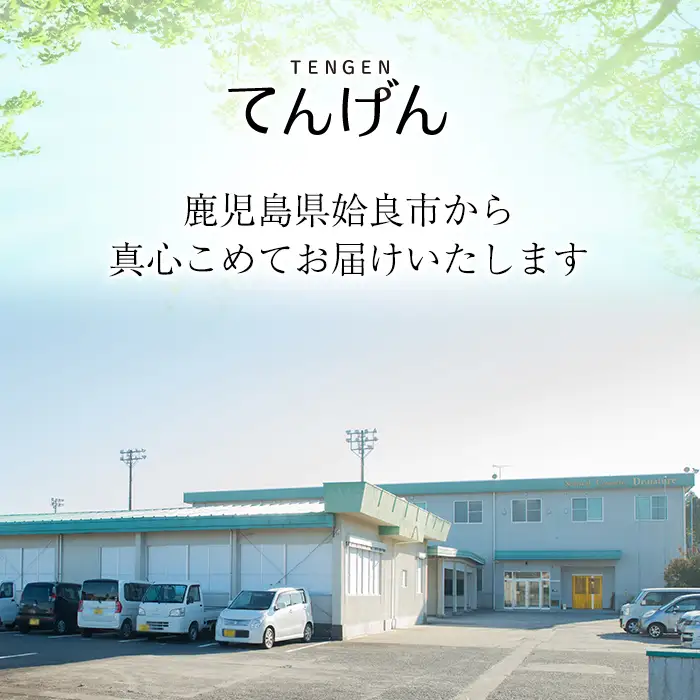 a938-E 【3回定期便】kingokingo クレンジングジェル(1本140g×3回)【てんげん】姶良市 クレンジング ジェル 化粧品 コスメ しっとり 保湿 キメ 美容 スキンケア きんごきんご
