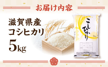 新米 コシヒカリ5kg 白米 [AQDH001] コシヒカリ