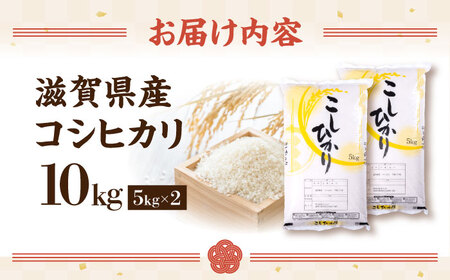 新米 コシヒカリ 10kg 白米 [AQDH002] こしひかり 白米