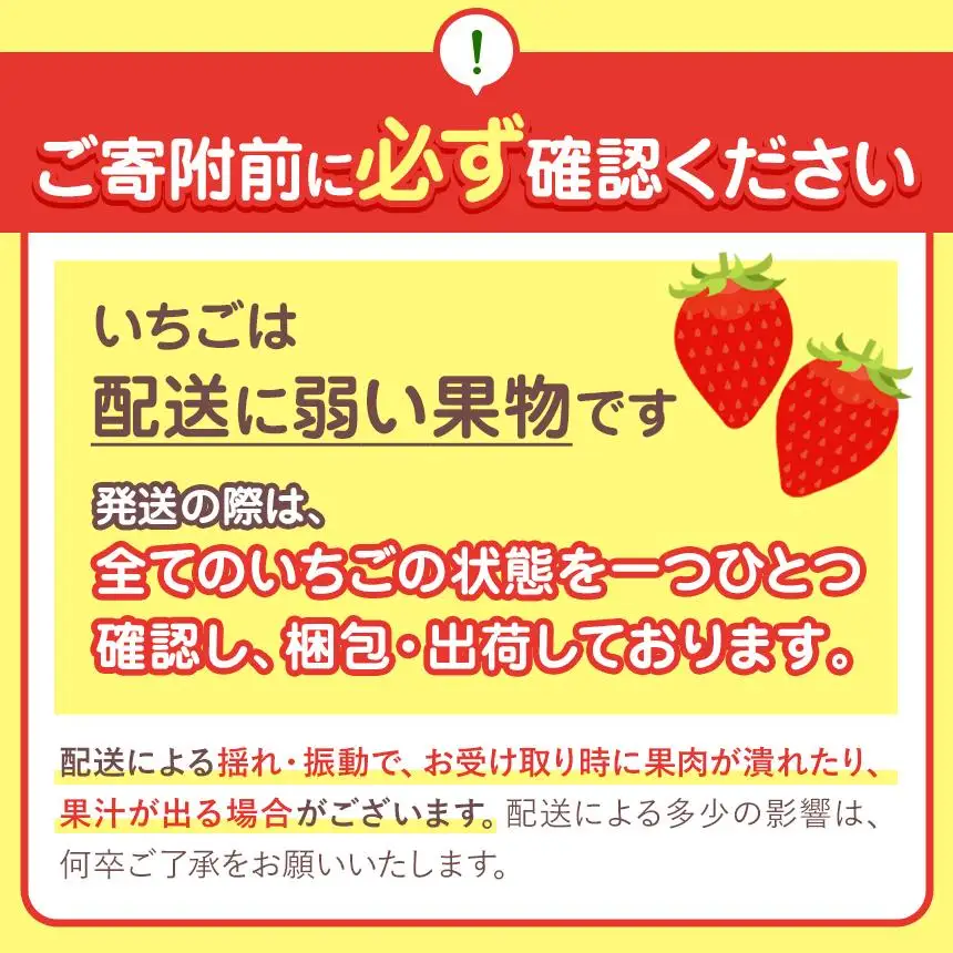 [3月以降発送]いちごの新定番 ★とちあいか★ 12～15粒×2P 2027年 1月～4月上旬発送！【2027年先行予約】栃木県 矢板市産