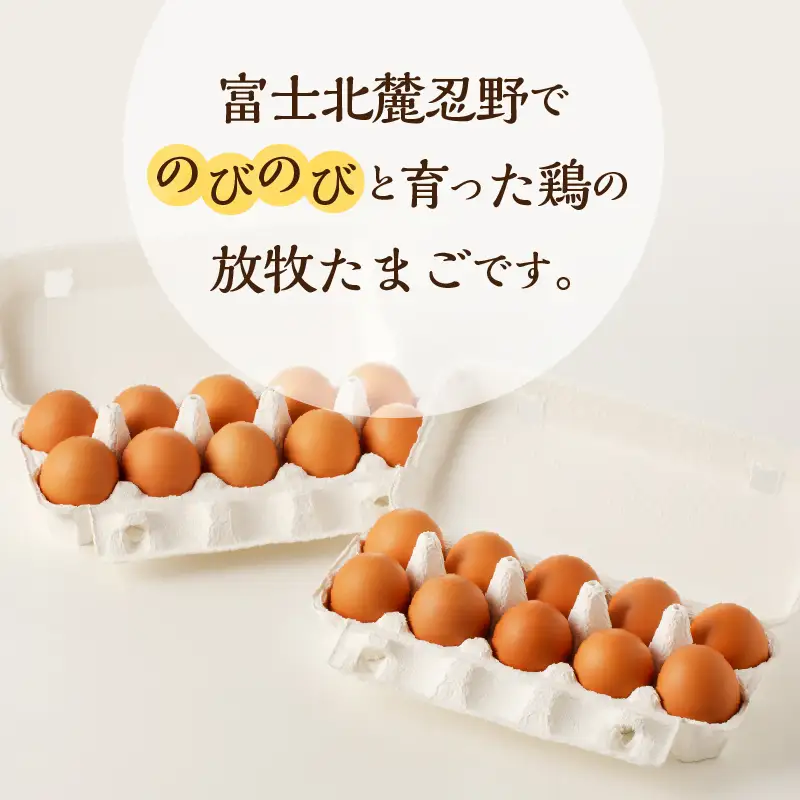 【10月配送分】忍野の平飼い放牧卵30個（25個＋割れ保証5個）