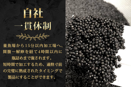 〈3回定期便〉【桐箱入り】キャビア 20g × 3回配送 計60g【世界三大珍味×日本三大秘境】 宮崎 椎葉 国産 チョウザメ キャビア 魚卵 定期便 魚介 珍味 贈答 SZ-103_3teiki