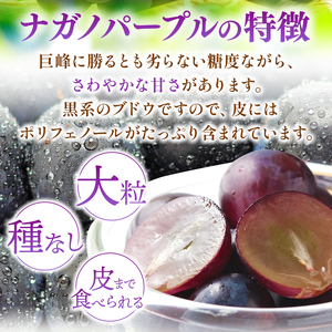 【先行受付】 信州産 ナガノパープル 2房（約1kg）