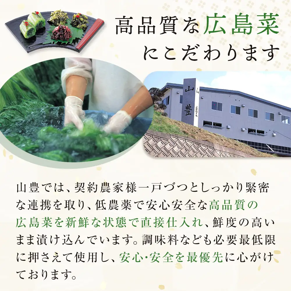 【先行予約】広島菜漬「安藝菜」 4.0kg（2026年度11月以降順次配送）