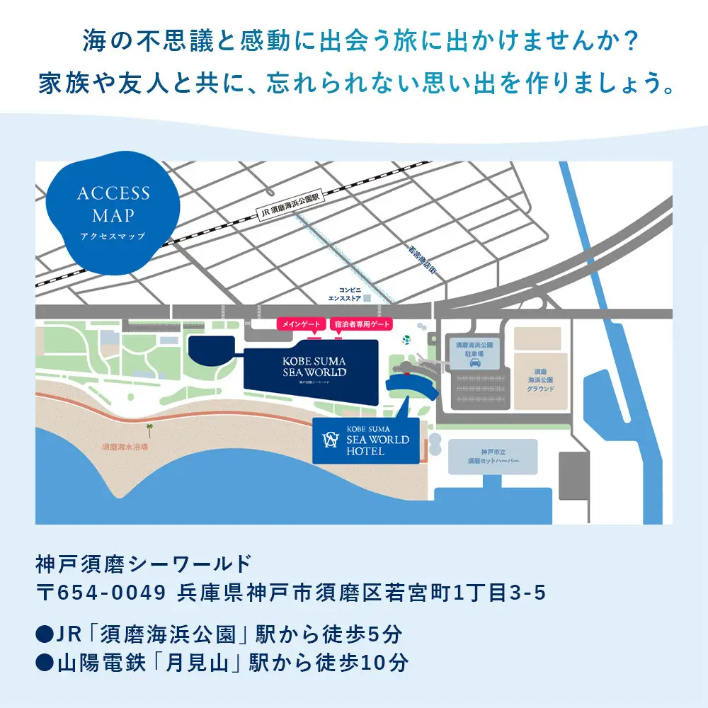 神戸須磨シーワールド（水族館）入館券　2枚セット（有効期限：～2027年3月31日）