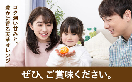 ハウス追熟 天草オレンジ 10玉～15玉入 【配送不可地域あり】※離島