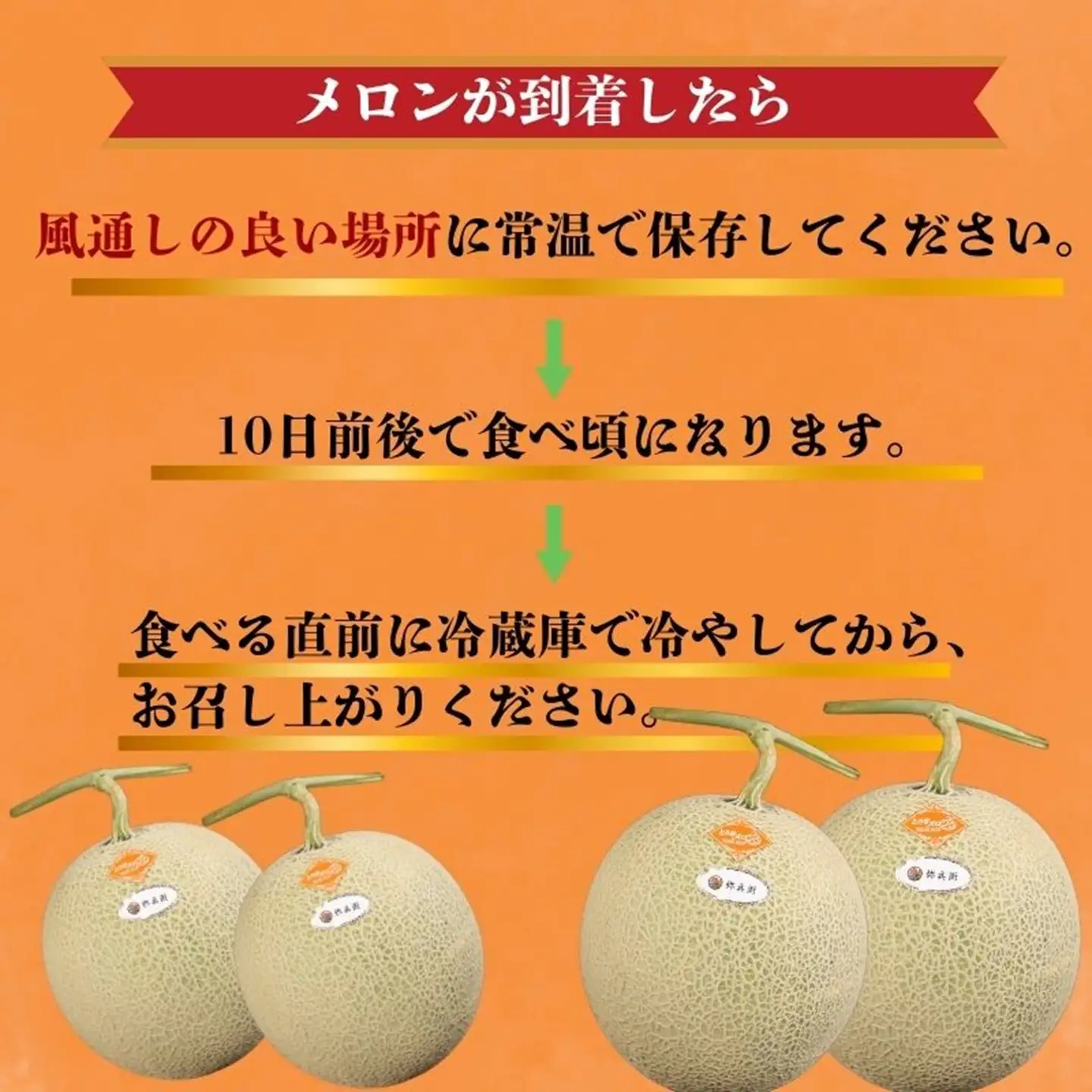 【先行予約】赤肉とろ甘メロン 2玉 メロン レノンスタ―