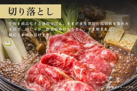 常陸牛　切り落とし700g（350g×2）【茨城県共通返礼品 / 茨城県産】 C09-001