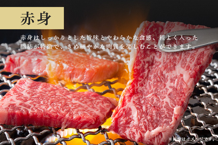 常陸牛　赤身焼肉700g【茨城県共通返礼品 / 茨城県産】 C09-004