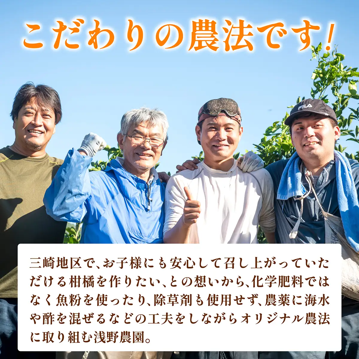 【先行予約】浅野農園の温州みかん 訳あり計10kg ※離島への配送不可（2026年12月上旬～12月中旬頃に順次発送予定） IKTAC005
