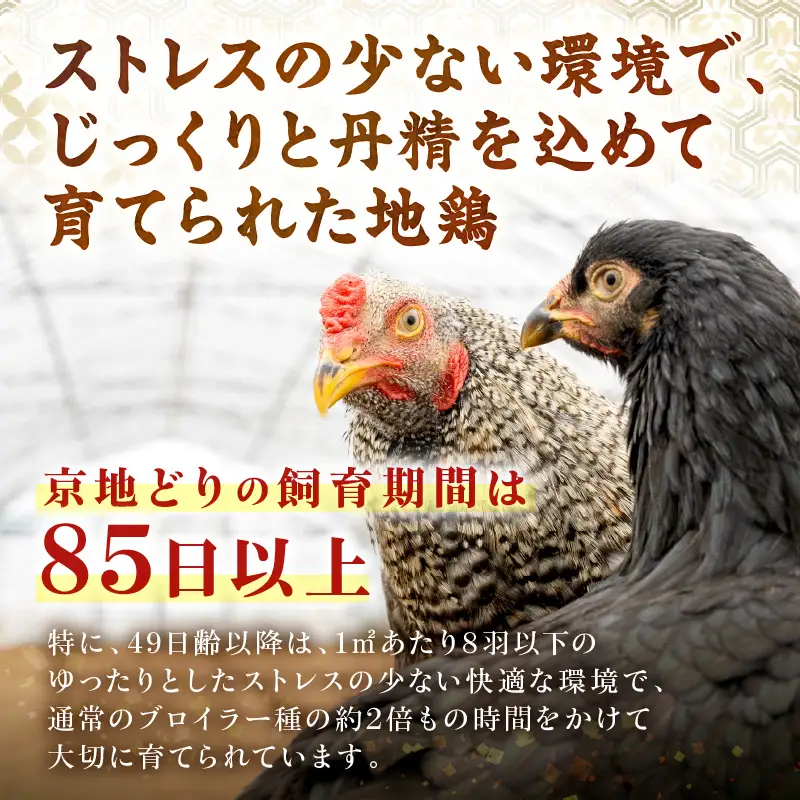 【鶏肉】小分け 京地どり むね 600g 地鶏【鶏肉】