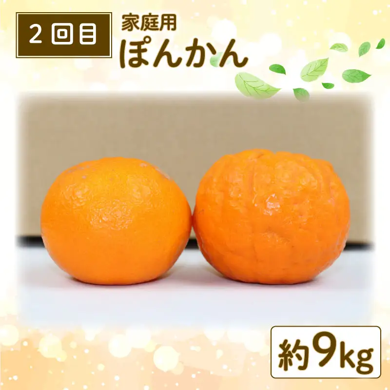 【みかん定期便】みかん定期便3回玉津柑橘倶楽部B030-072048
