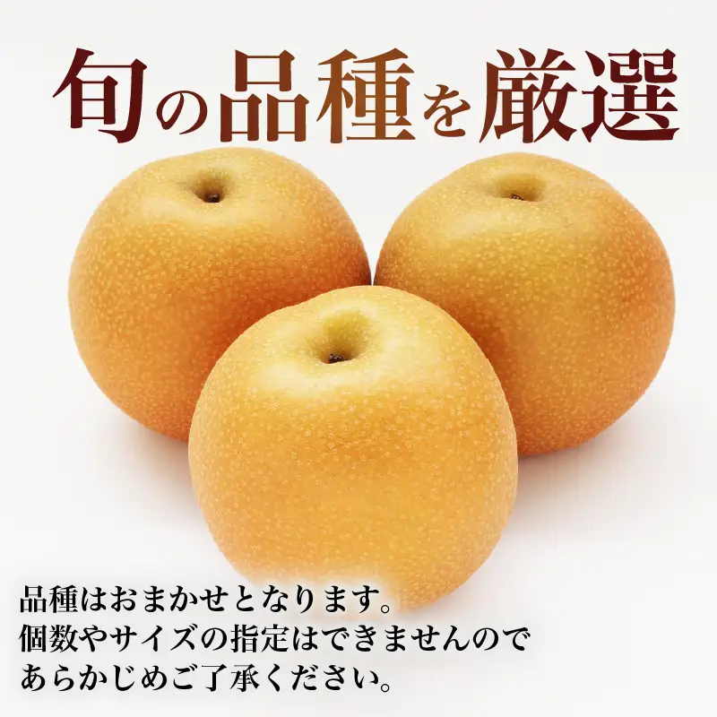 2026年予約 訳あり梨 品種おまかせ梨 約5kg
