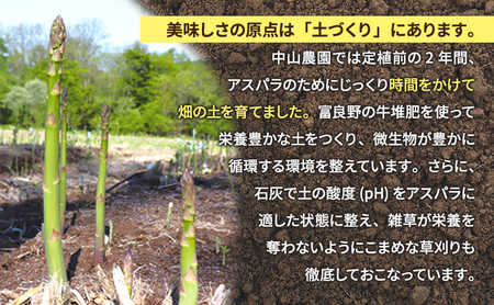 【2027年春発送】富良野産 アスパラ 約1kg 細め (サイズ混合) 中山農園 アスパラガス 野菜