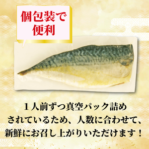 サバ 塩干し 干物 5枚 国産 無添加 サバ