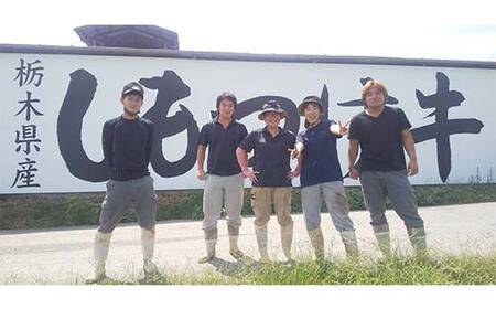 栃木県産 厳選下野牛！ ローストビーフ用 モモ肉 約500g 国産 ブランド牛 牛肉 肉 もも肉 加工用 ローストビーフ 高級 塊肉 塊 調理 食品 冷凍 贈答 贈り物 ギフト プレゼント 自宅 家庭 栃木県 足利市 F7Z-1602