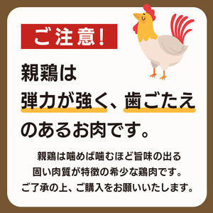 焼鳥 焼き鳥 40本 5種セット 親鳥