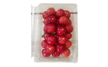 令和9年産【先行受付】山形県産さくらんぼ＜紅秀峰＞秀品 約300ｇ×1P Lサイズ以上 期間限定 数量限定 山形県産 サクランボ フルーツ 果物 くだもの 贈答 F4A-0962