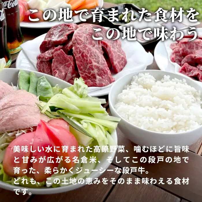 農園レストラン&BBQが楽しめる ログハウス ばんじゃーる駒ヶ原 お食事券 3000円 利用券 段戸山高原牛 ステーキ バーベキュー 食事 牛肉 野菜 食材 ハンバーグ -227