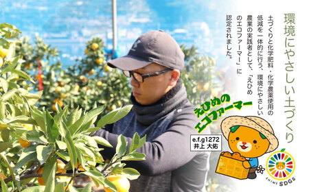 えがおみかん （南柑20号） 5kg みかん 蜜柑 ミカン くだもの 果物 フルーツ 愛媛県 温州みかん 【2026年12月上旬-2027年2月下旬発送】 （562-1）
