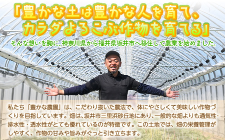 安心安全！減農薬！こだわり農法で育てた至高のピノガール (小玉スイカ) 1玉 (1.3kg以上)【2027年7月中旬以降発送】スイカ すいか フルーツ [A-21214]